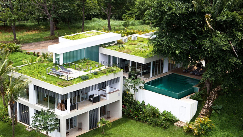 Installation Green Roof